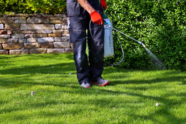 Best Pest Exclusion Services  in Weldon, CA